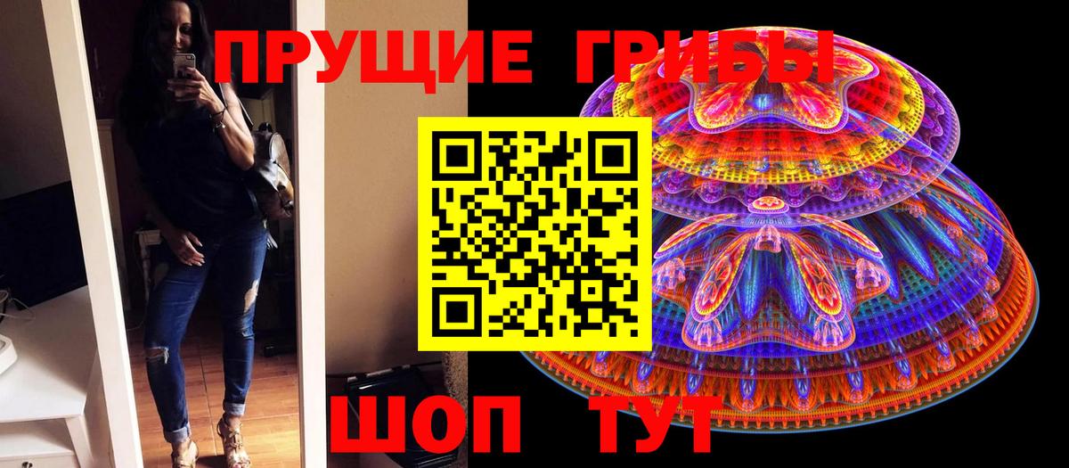 Кубинка  Галлюциногенные грибы Cubensis  Вход с VPN 